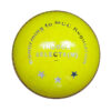 Premium Indoor Cricket Ball (6 Pack) - Image 4