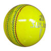 Premium Indoor Cricket Ball (6 Pack)